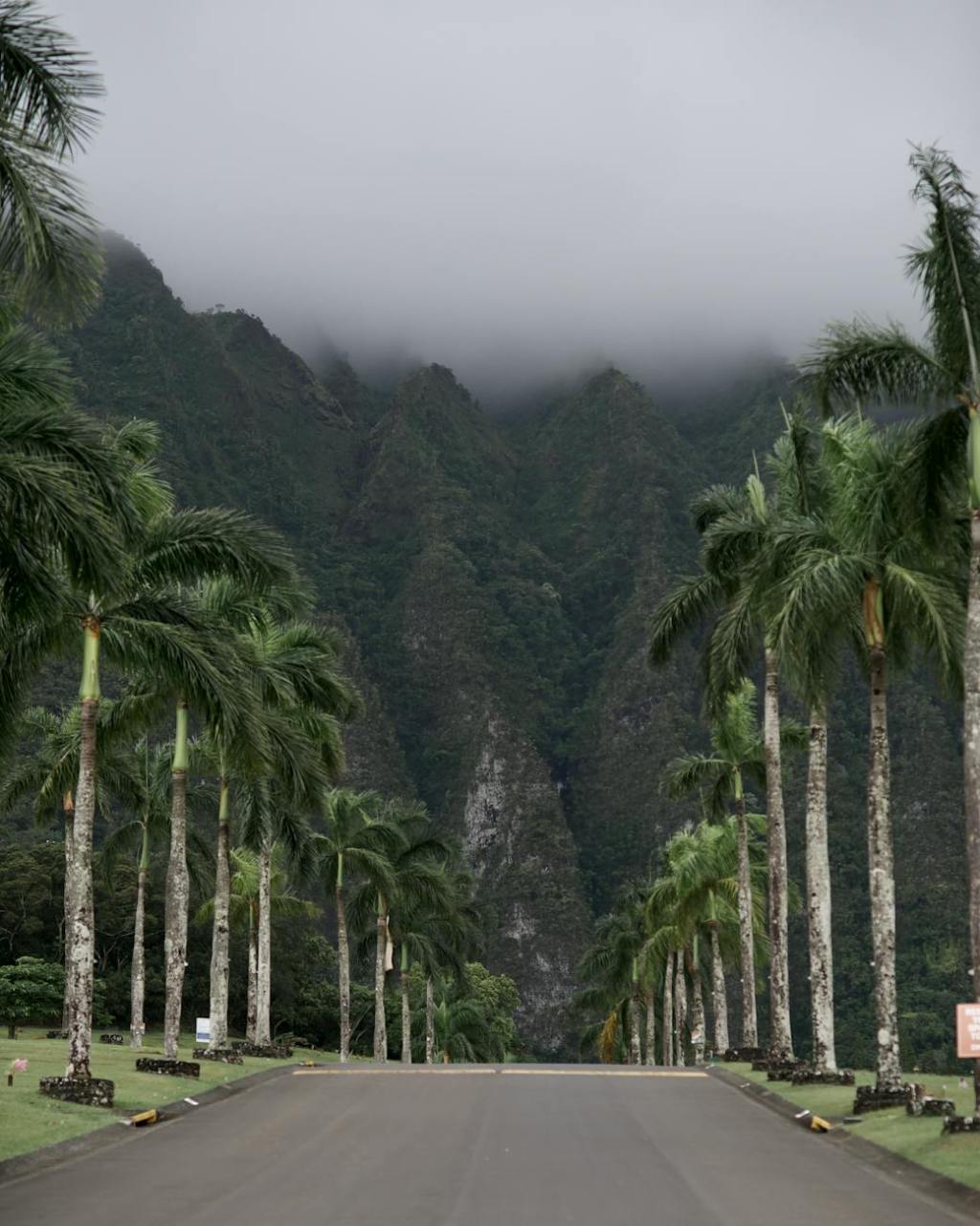 Haiti: Beautiful and&nbsp;Beleagured